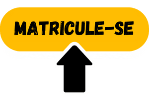 Mentoria licitante inovador matricula